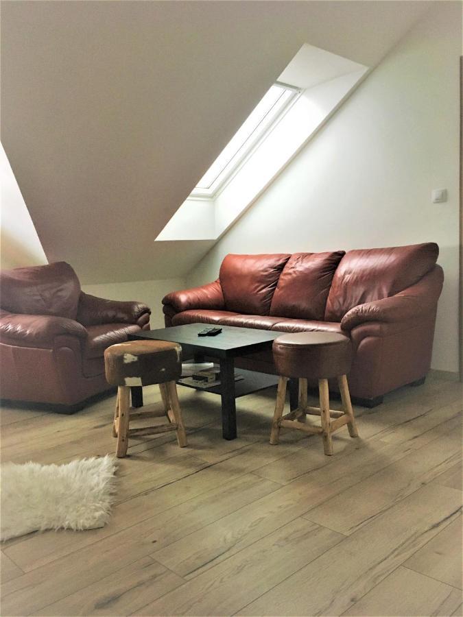 Apartments Villa Viola Kovářská Εξωτερικό φωτογραφία