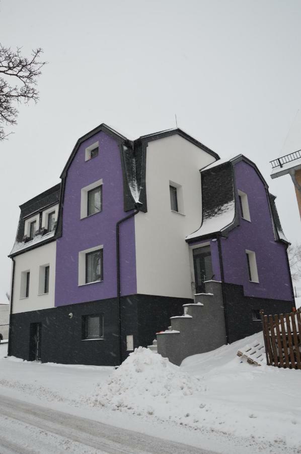 Apartments Villa Viola Kovářská Εξωτερικό φωτογραφία